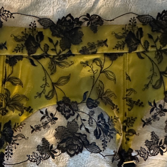 Dita Von Teese Hustler Hollywood green and Black Lace Garter Belt - Picture 11 of 11